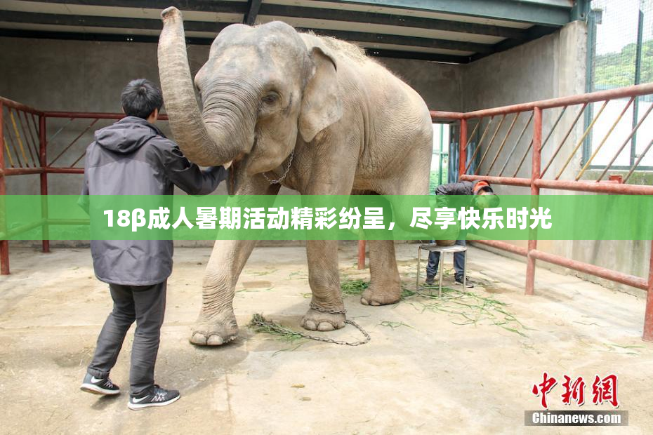 18β成人暑期活动精彩纷呈，尽享快乐时光