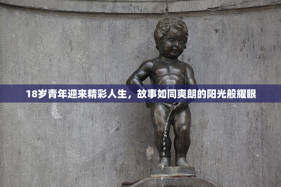 18岁青年迎来精彩人生，故事如同爽朗的阳光般耀眼