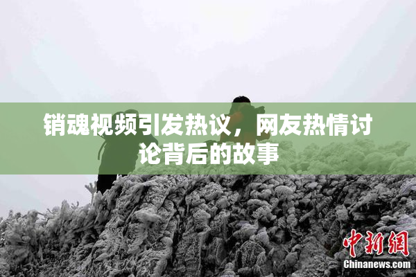 销魂视频引发热议，网友热情讨论背后的故事