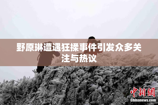 野原琳遭遇狂揉事件引发众多关注与热议