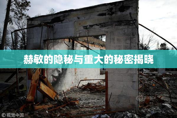 赫敏的隐秘与重大的秘密揭晓