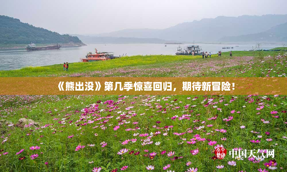 《熊出没》第几季惊喜回归，期待新冒险！