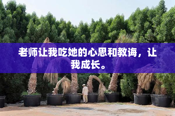 老师让我吃她的心思和教诲，让我成长。