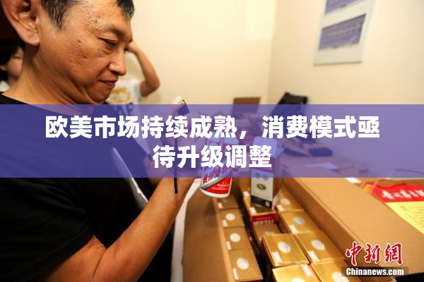 欧美市场持续成熟，消费模式亟待升级调整