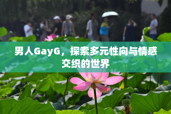 男人GayG，探索多元性向与情感交织的世界