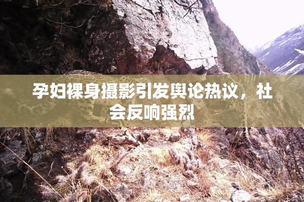 孕妇裸身摄影引发舆论热议，社会反响强烈