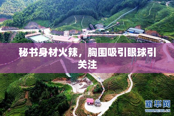 秘书身材火辣，胸围吸引眼球引关注
