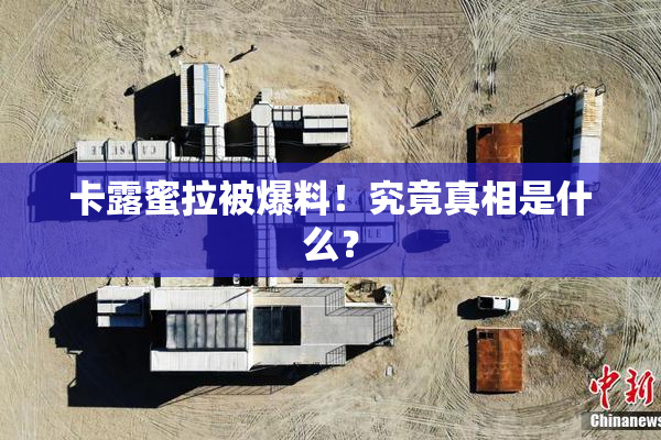 卡露蜜拉被爆料！究竟真相是什么？