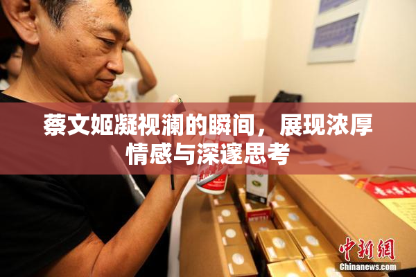 蔡文姬凝视澜的瞬间，展现浓厚情感与深邃思考
