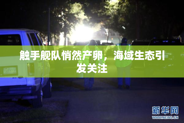 触手舰队悄然产卵，海域生态引发关注