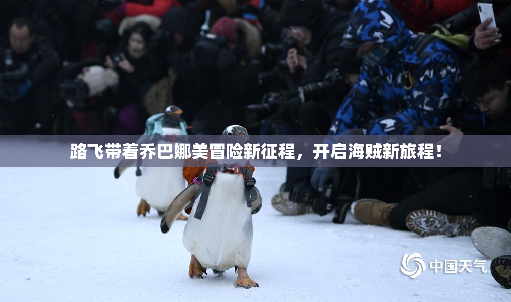 路飞带着乔巴娜美冒险新征程，开启海贼新旅程！