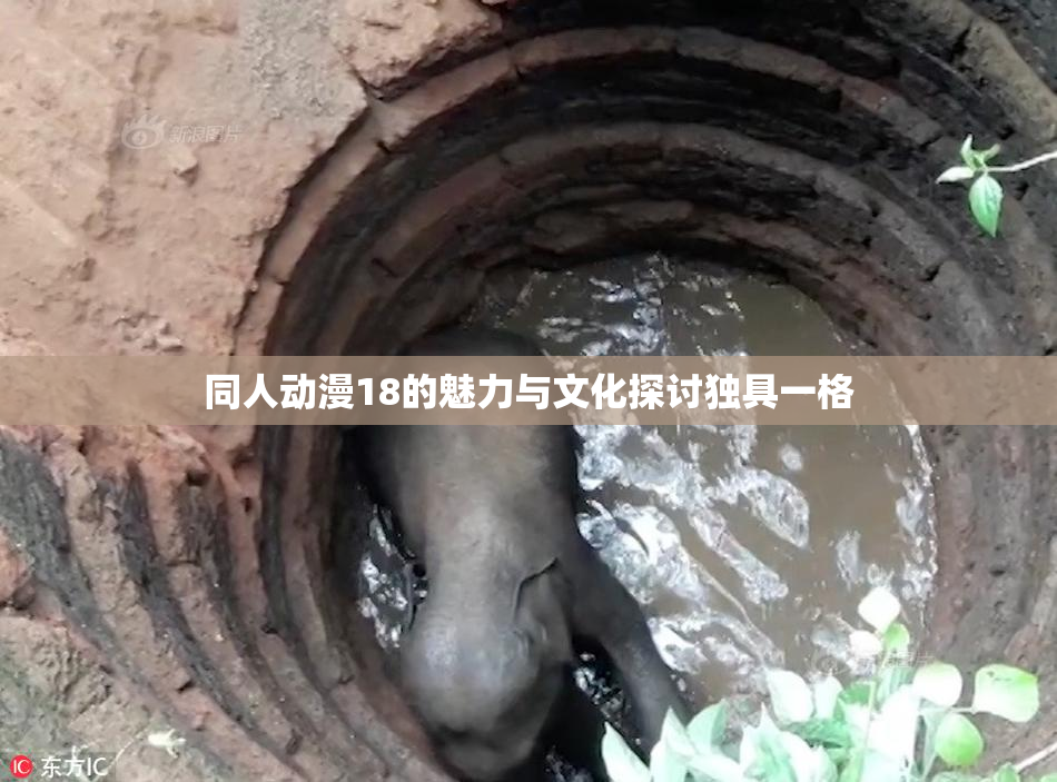 同人动漫18的魅力与文化探讨独具一格