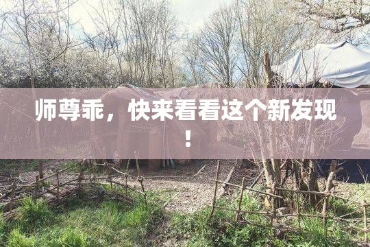 师尊乖，快来看看这个新发现！