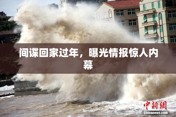 间谍回家过年，曝光情报惊人内幕