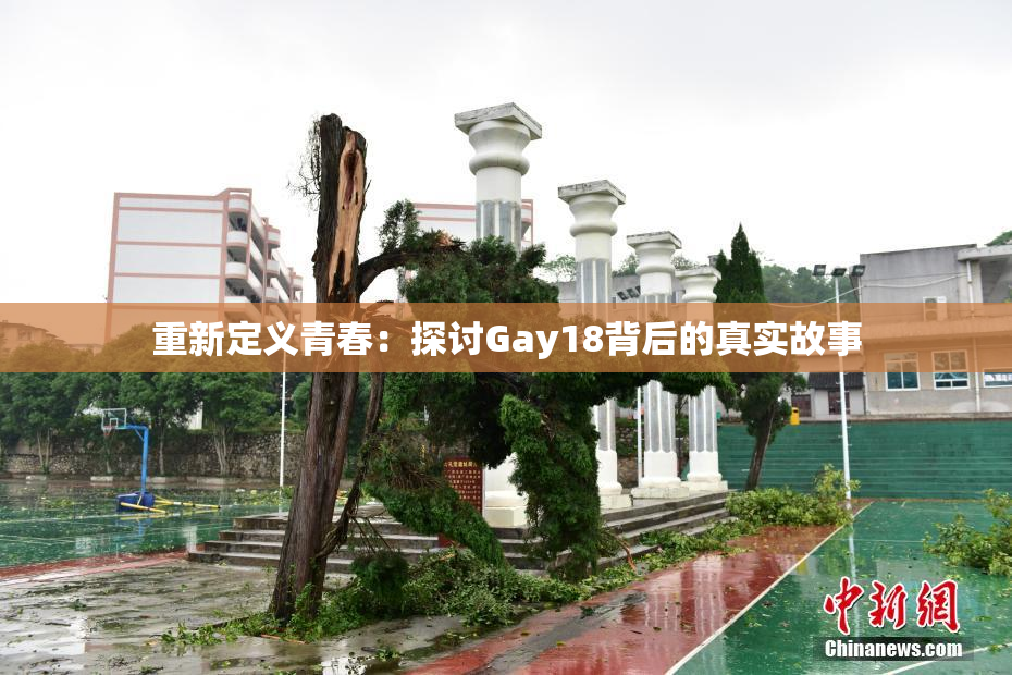 重新定义青春：探讨Gay18背后的真实故事