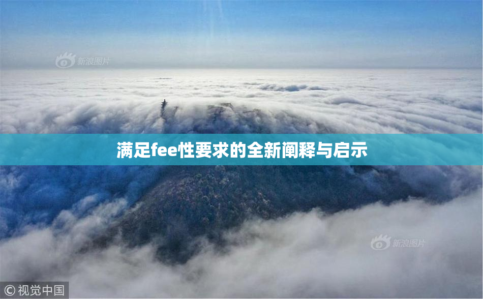 满足fee性要求的全新阐释与启示