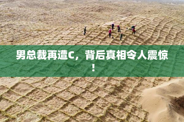 男总裁再遭C，背后真相令人震惊！