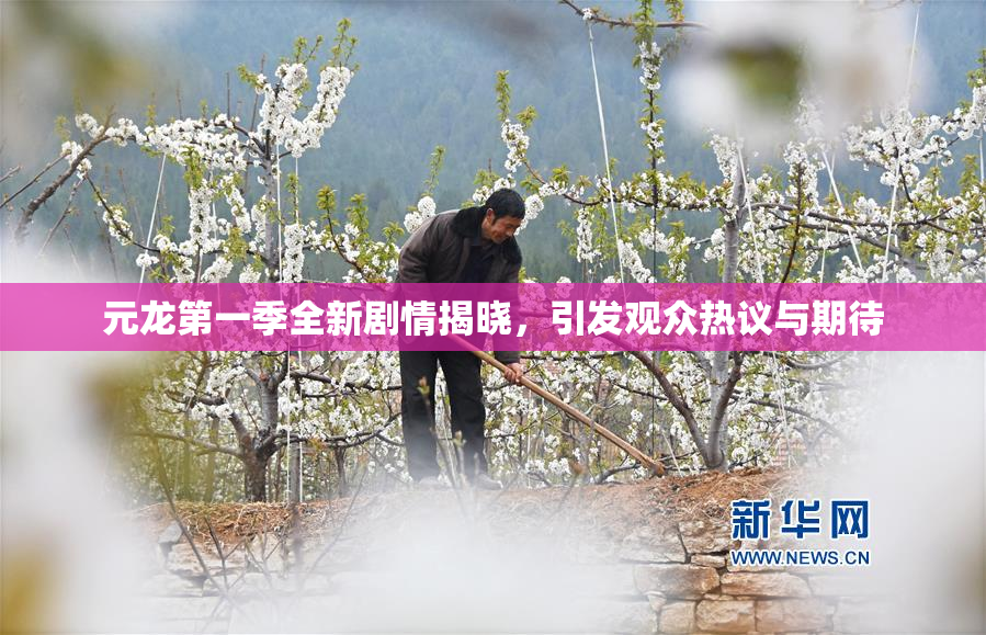 元龙第一季全新剧情揭晓，引发观众热议与期待