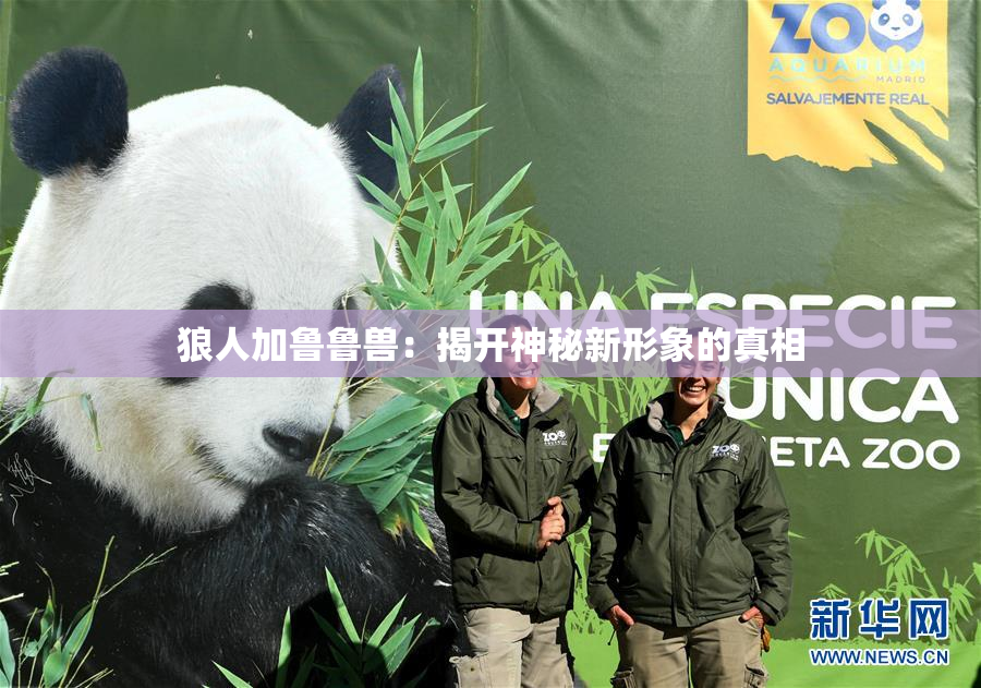 狼人加鲁鲁兽：揭开神秘新形象的真相