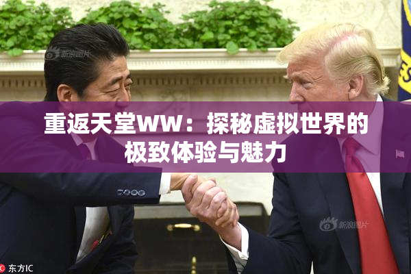 重返天堂WW：探秘虚拟世界的极致体验与魅力
