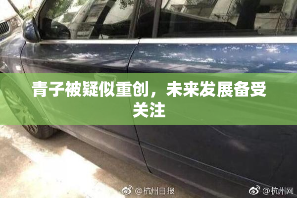 青子被疑似重创，未来发展备受关注