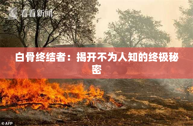 白骨终结者：揭开不为人知的终极秘密