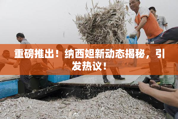 重磅推出！纳西妲新动态揭秘，引发热议！