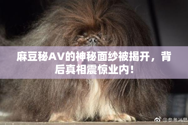 麻豆秘AV的神秘面纱被揭开，背后真相震惊业内！