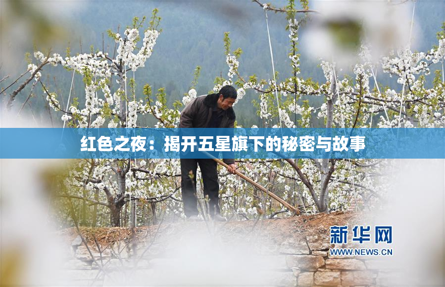 红色之夜：揭开五星旗下的秘密与故事