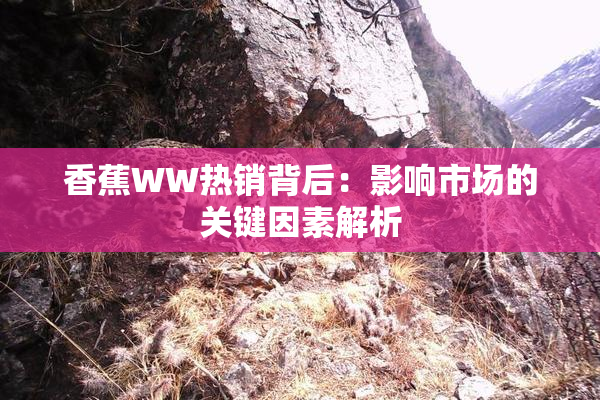 香蕉WW热销背后：影响市场的关键因素解析