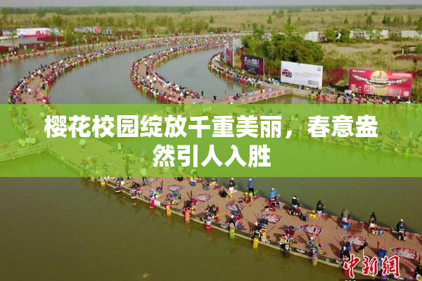 樱花校园绽放千重美丽，春意盎然引人入胜