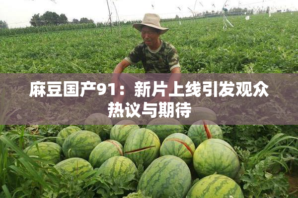 麻豆国产91：新片上线引发观众热议与期待