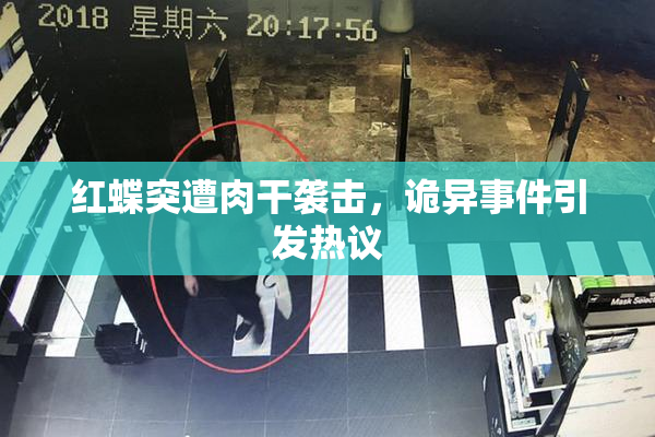 红蝶突遭肉干袭击，诡异事件引发热议