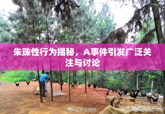 朱珠性行为揭秘，A事件引发广泛关注与讨论