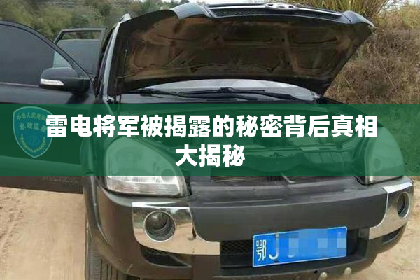 雷电将军被揭露的秘密背后真相大揭秘