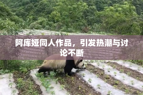 阿库娅同人作品，引发热潮与讨论不断