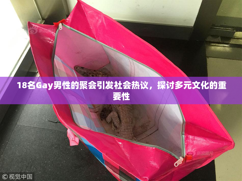 18名Gay男性的聚会引发社会热议，探讨多元文化的重要性