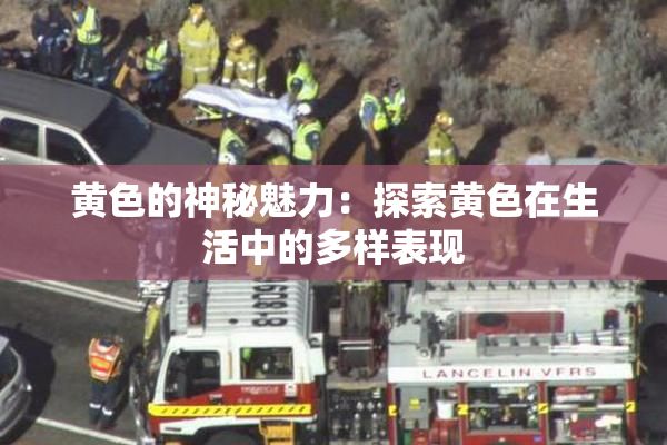 黄色的神秘魅力：探索黄色在生活中的多样表现