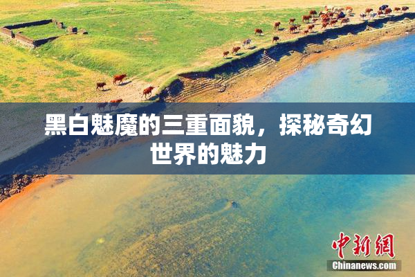 黑白魅魔的三重面貌，探秘奇幻世界的魅力
