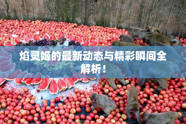 焰灵姬的最新动态与精彩瞬间全解析！