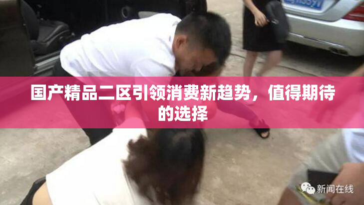 国产精品二区引领消费新趋势，值得期待的选择