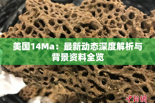 美国14Ma：最新动态深度解析与背景资料全览