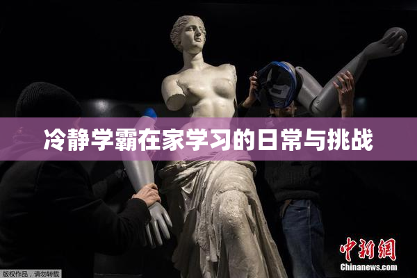 冷静学霸在家学习的日常与挑战