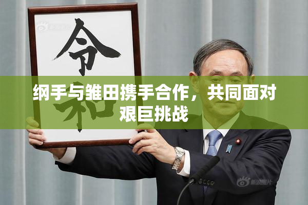 纲手与雏田携手合作，共同面对艰巨挑战