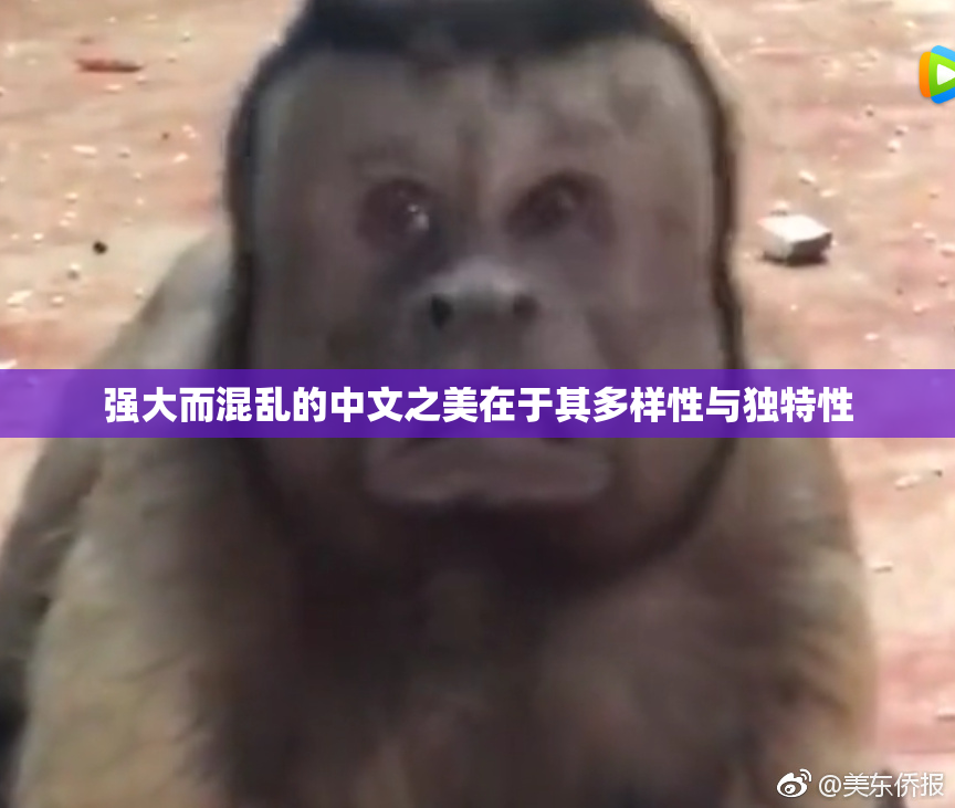 强大而混乱的中文之美在于其多样性与独特性