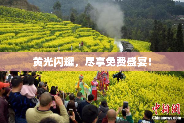 黄光闪耀，尽享免费盛宴！