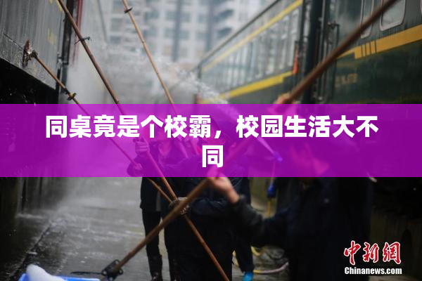 同桌竟是个校霸，校园生活大不同