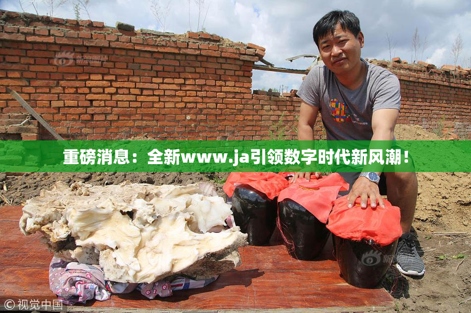 重磅消息：全新www.ja引领数字时代新风潮！