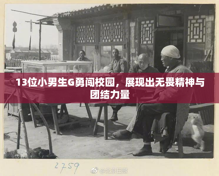 13位小男生G勇闯校园，展现出无畏精神与团结力量