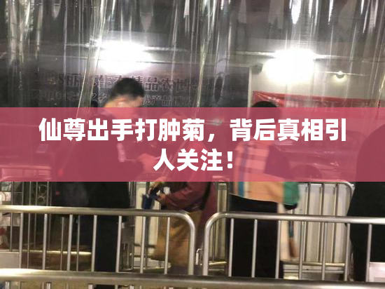 仙尊出手打肿菊，背后真相引人关注！